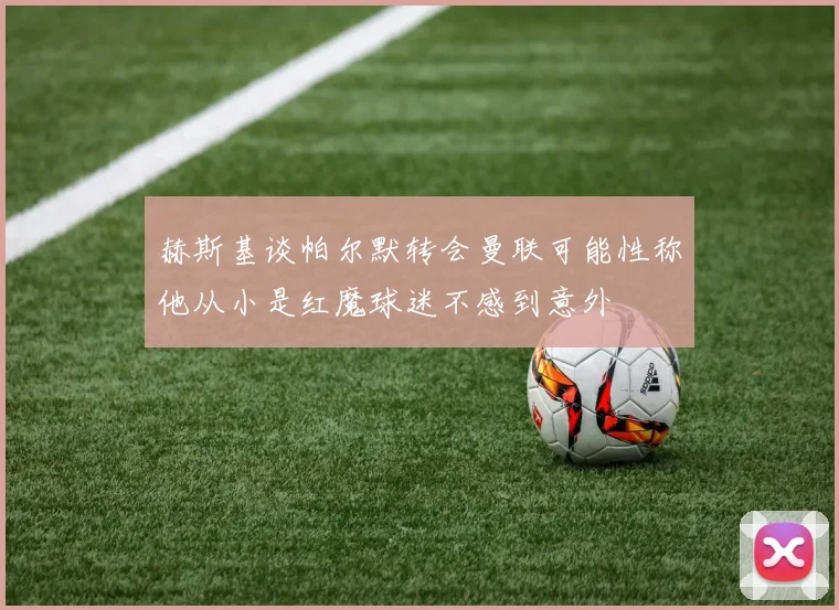 赫斯基谈帕尔默转会曼联可能性称他从小是红魔球迷不感到意外